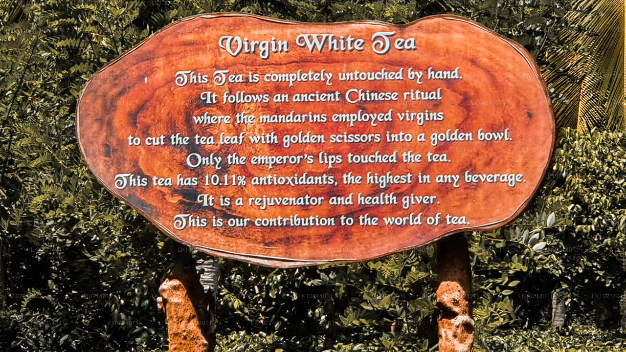 Ahangama a Mirissa z Bentoty (2 dny)