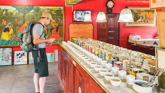 Ahangama a Mirissa z Bentoty (2 dny)