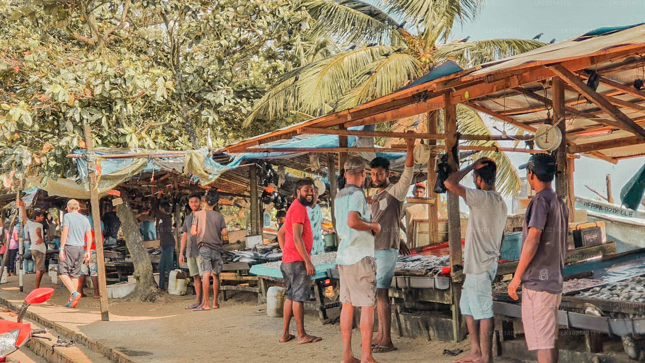 Ahangama a Mirissa z Bentoty (2 dny)