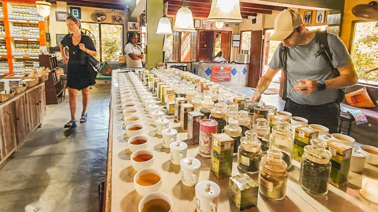 Ahangama a Mirissa z Bentoty (2 dny)