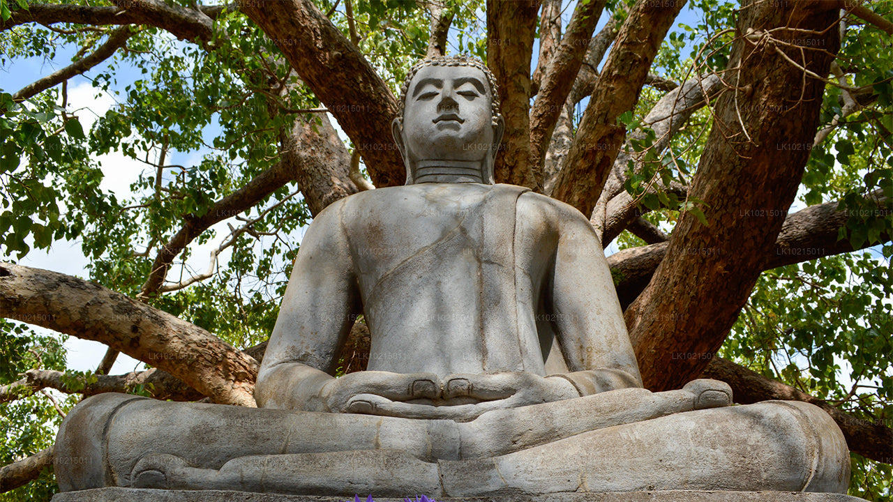 Prohlídka divoké přírody a posvátných míst z Galle (2 dny)