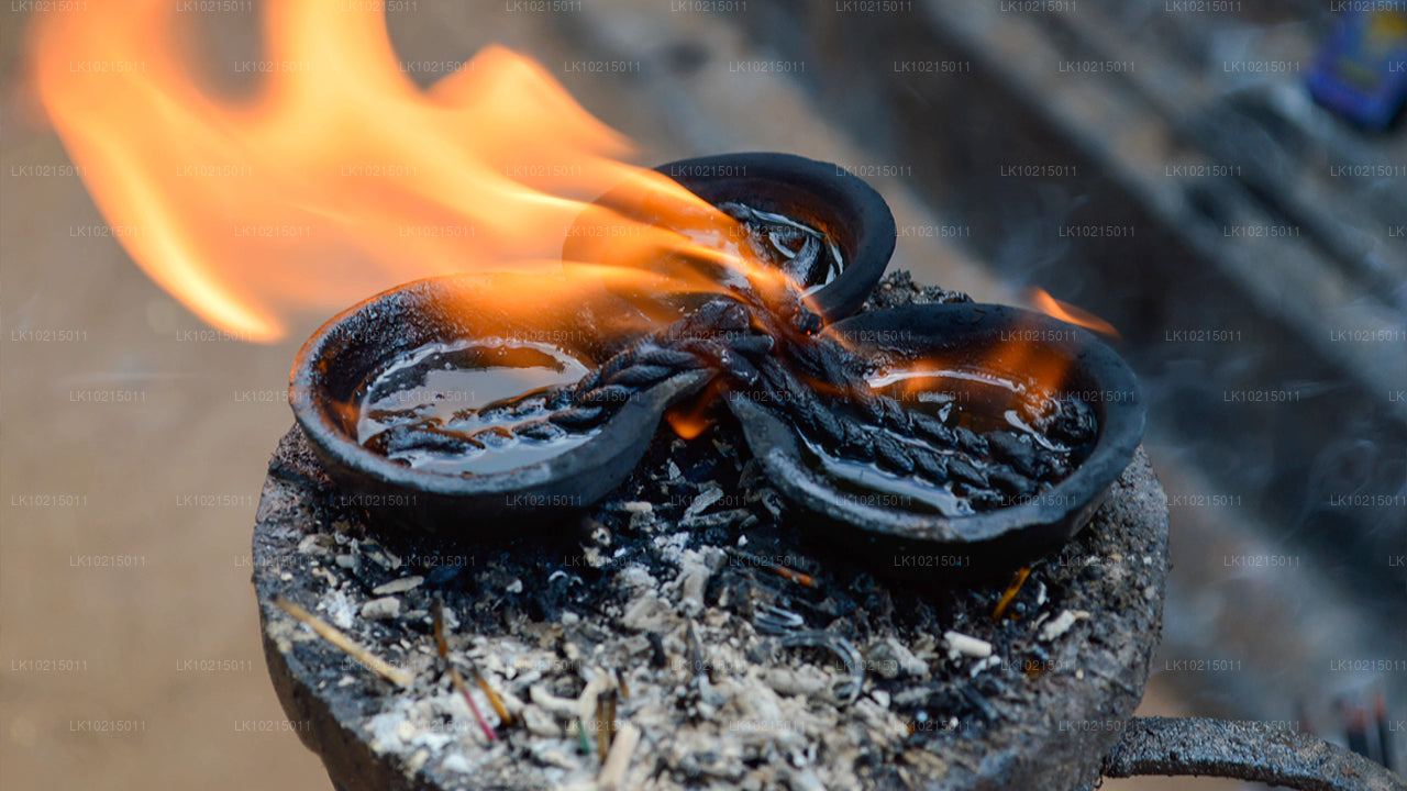 Prohlídka divoké přírody a posvátných míst z Galle (2 dny)