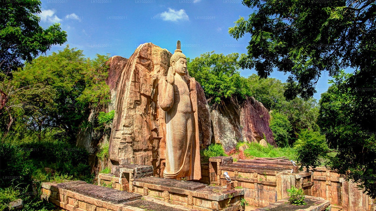 Étos Cejlonu z Kandy (2 dny)