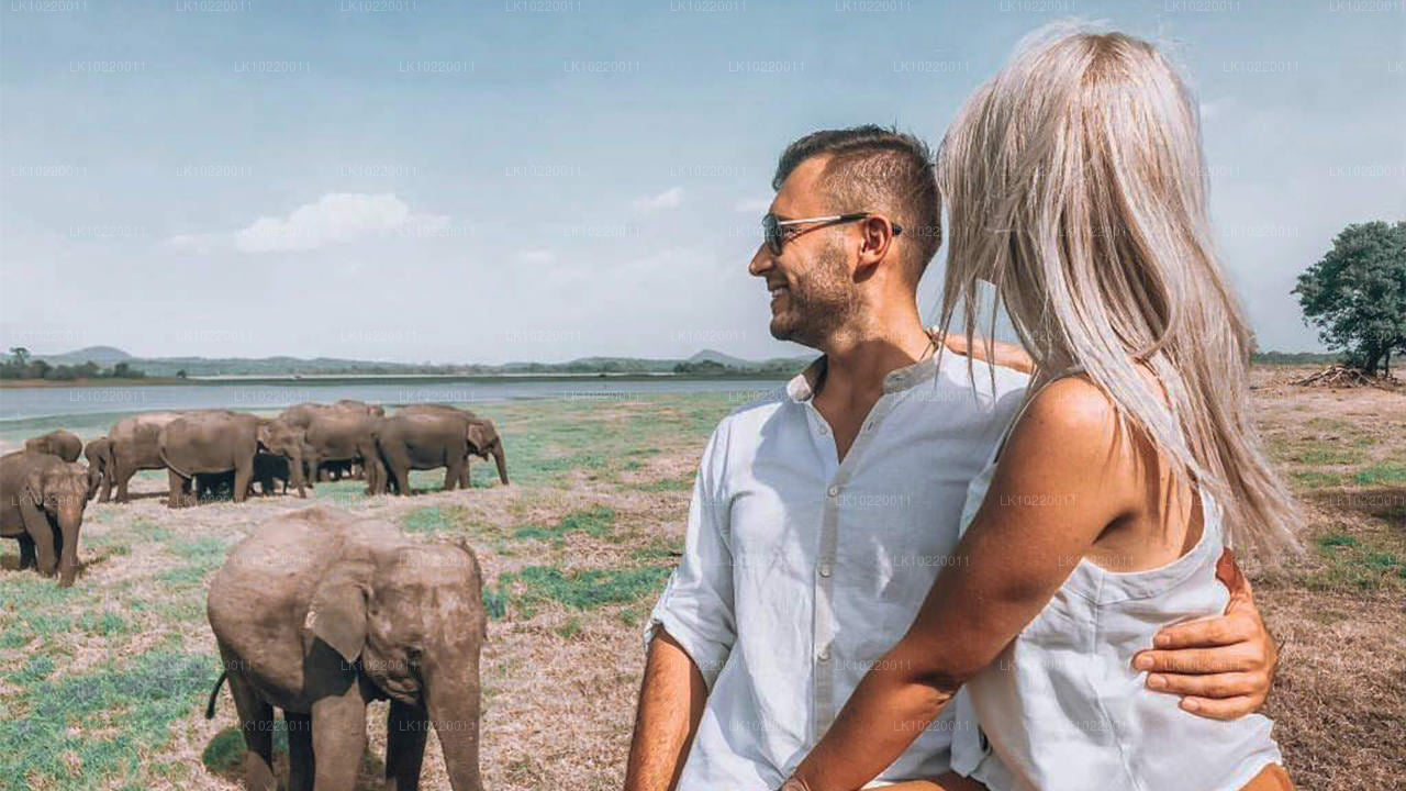 Étos Cejlonu z Kandy (2 dny)