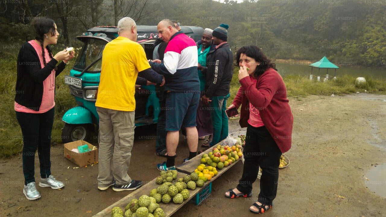 Highland Glory z Kandy (2 dny)