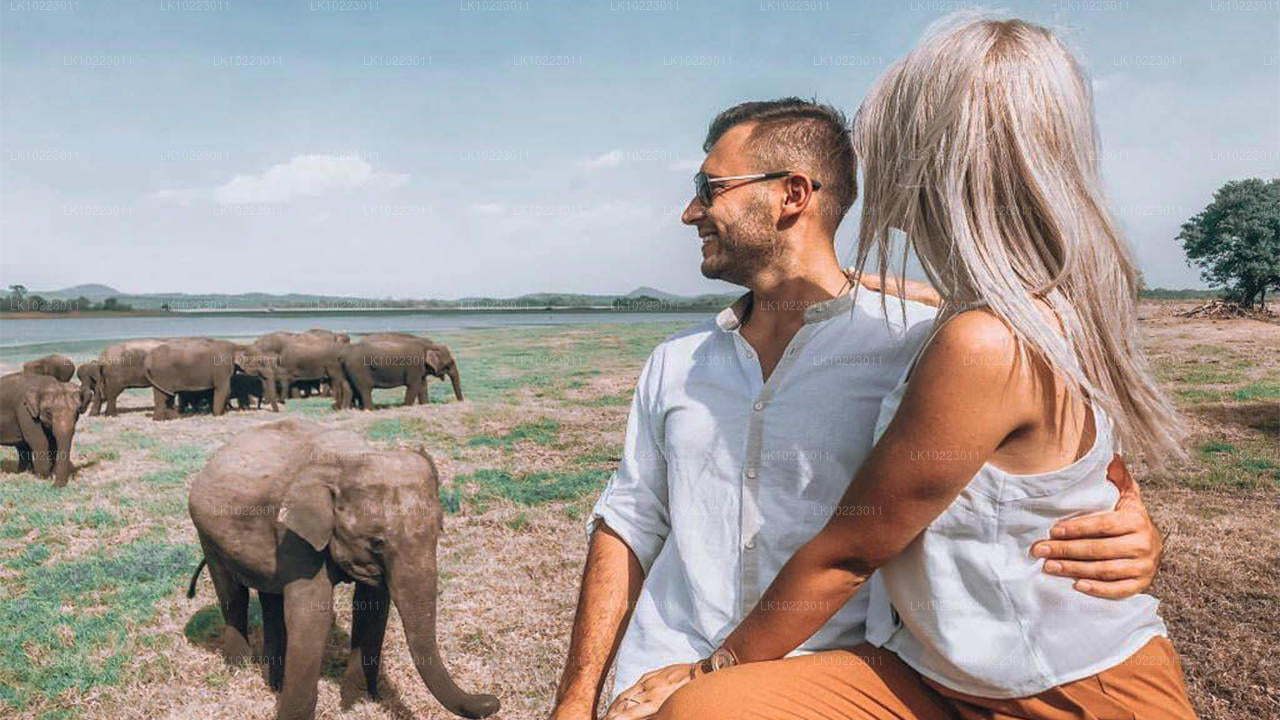 Sigiriya a Minneriya z Negomba (2 dny)