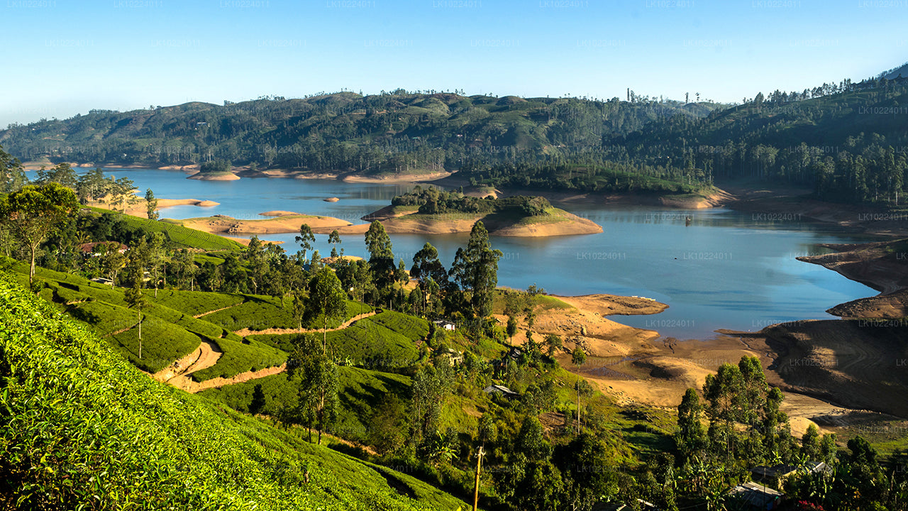 Nuwara Eliya z Negomba (2 dny)