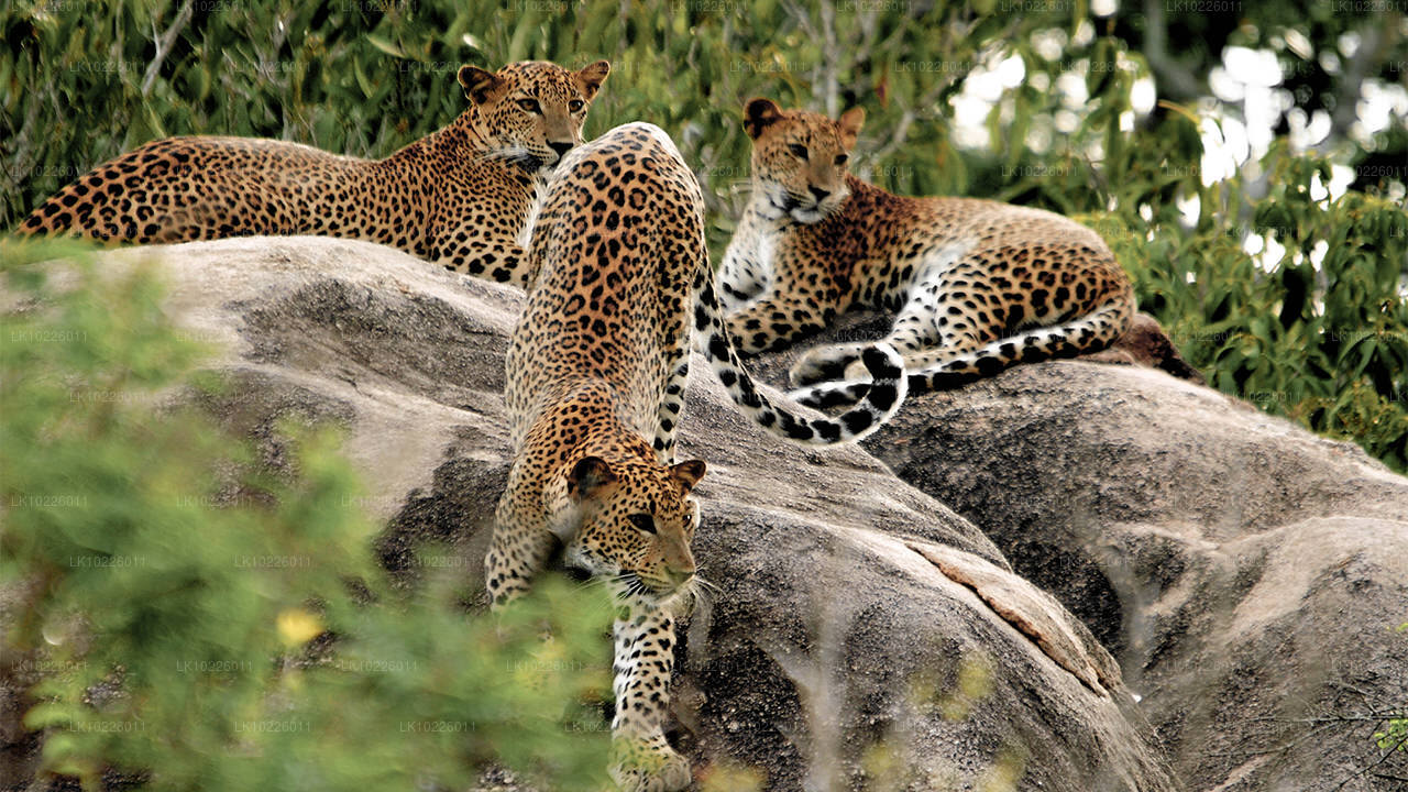 Chrámy a divočina z Negomba (2 dny)