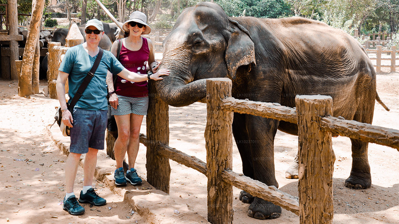 Prohlídka Kultury kopců z Galle (2 dny)