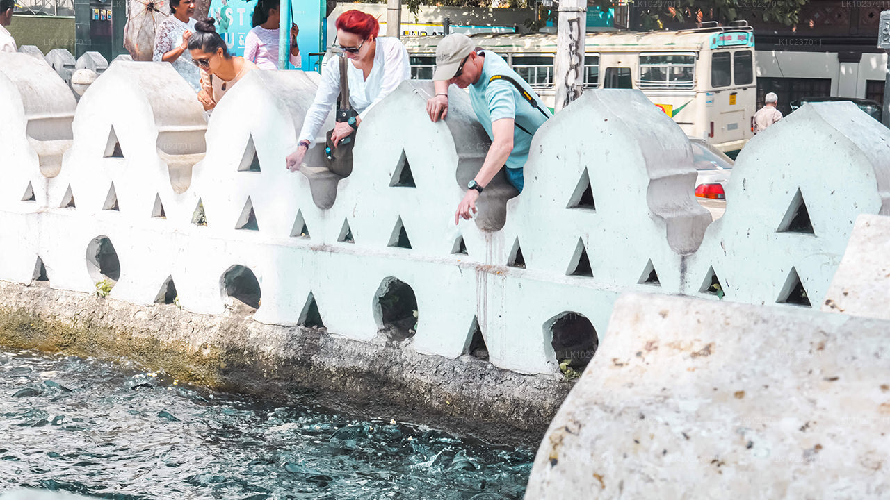 Prohlídka Kultury kopců z Galle (2 dny)