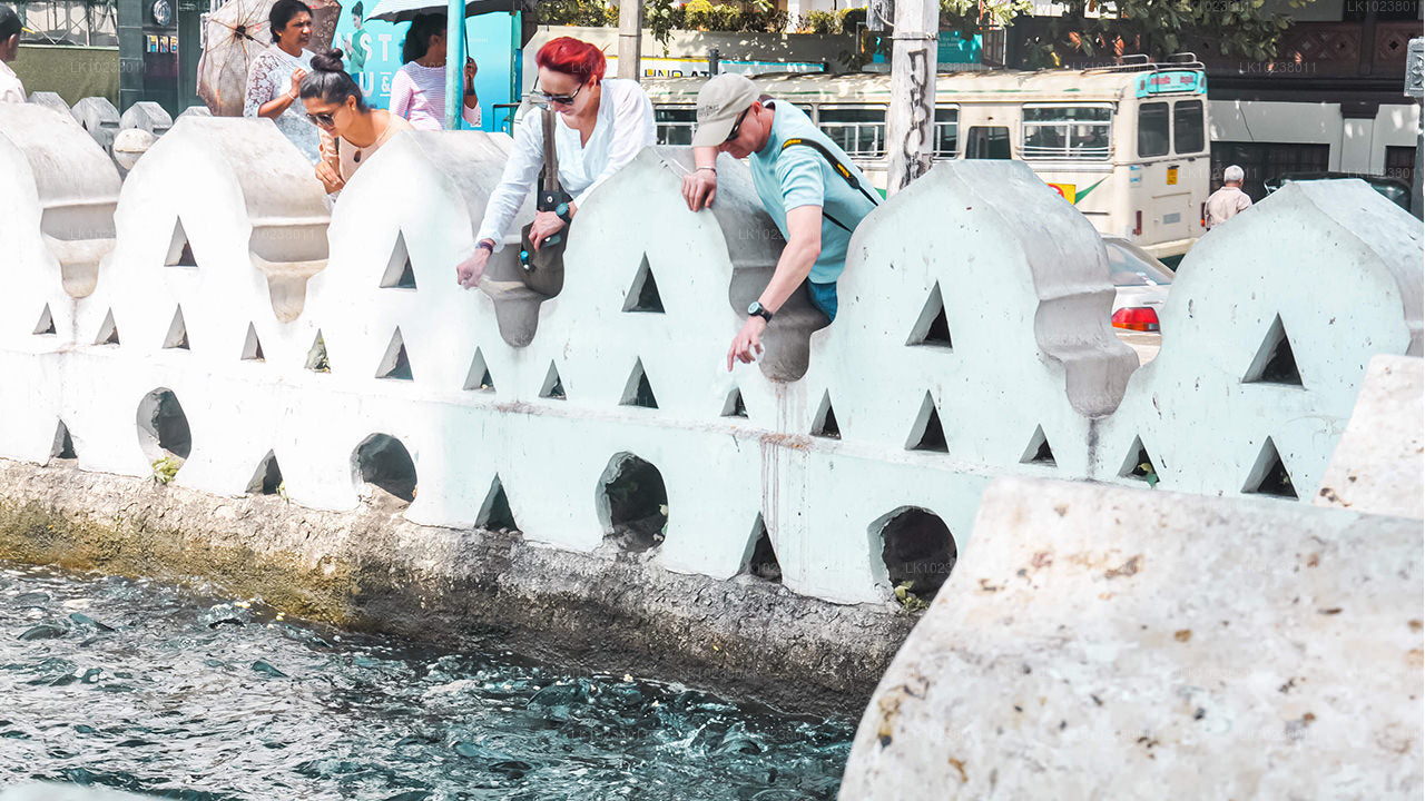 Kulturní výlet do kopců z Hikkaduwy (2 dny)