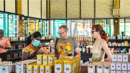 Stezky v mlžných horách z Galle (2 dny)