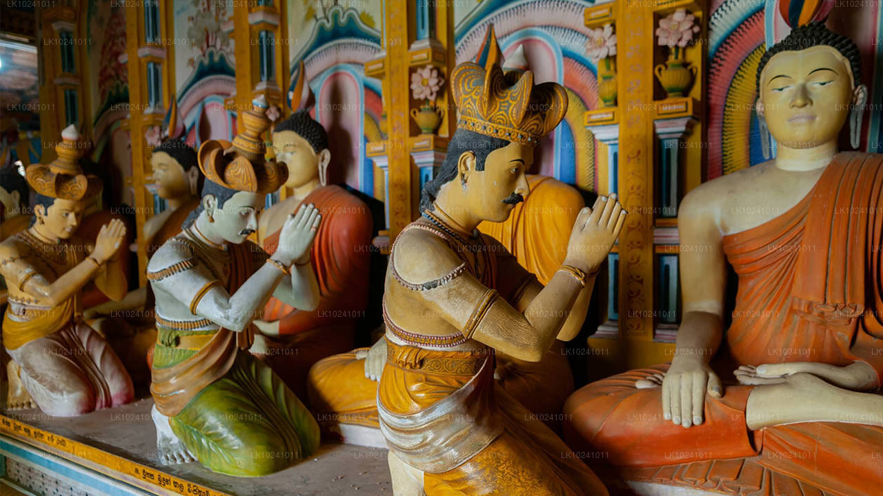 Udawalawe z Hikkaduwy (2 dny)