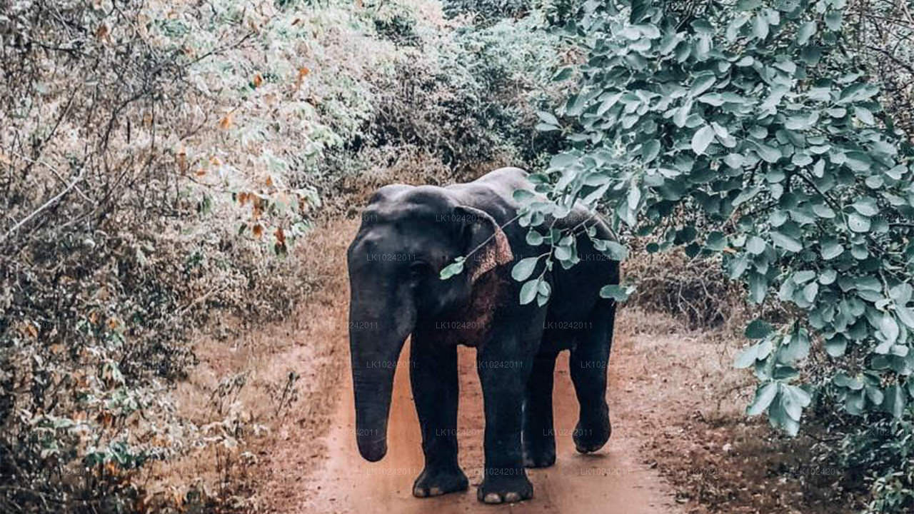 Starověké divy z Kolomba (2 dny)