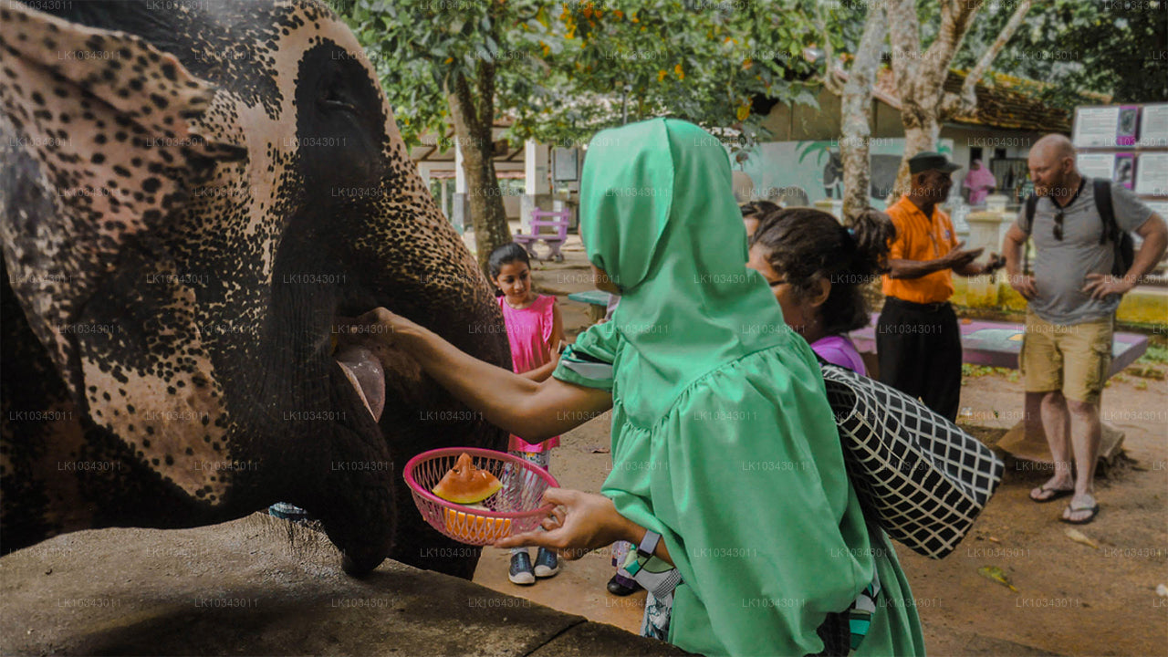 Ostrov divů (3 dny)