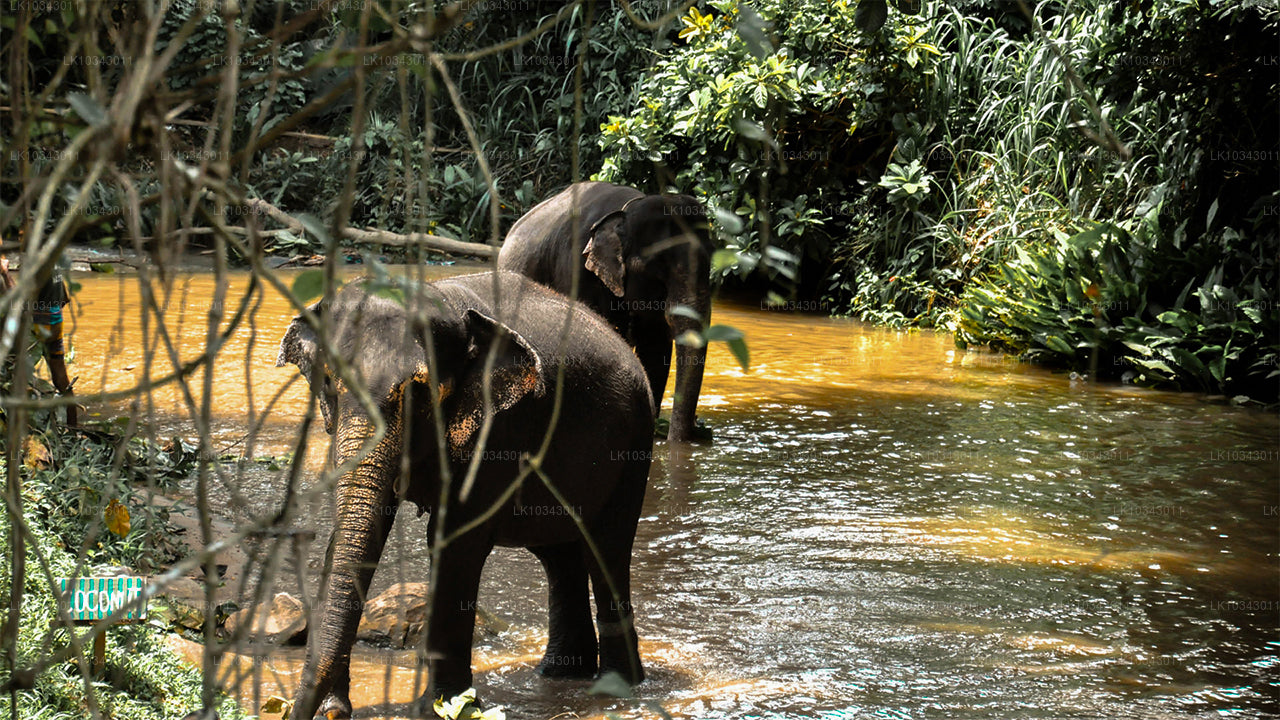 Ostrov divů (3 dny)