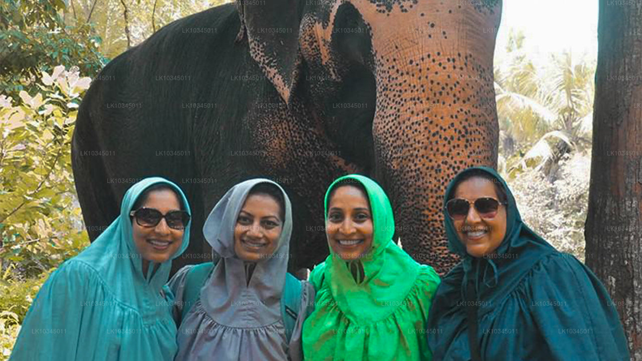 Poslední království Srí Lanky z Kolomba (3 dny)