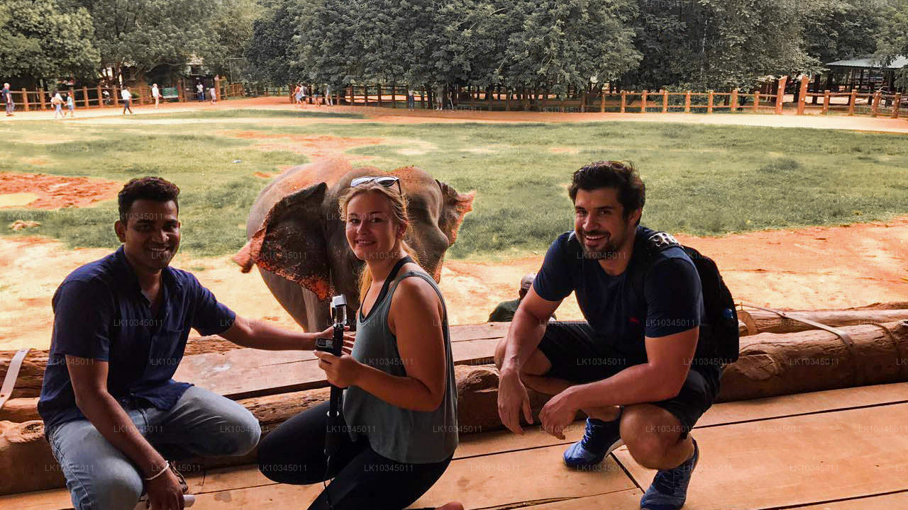 Poslední království Srí Lanky z Kolomba (3 dny)