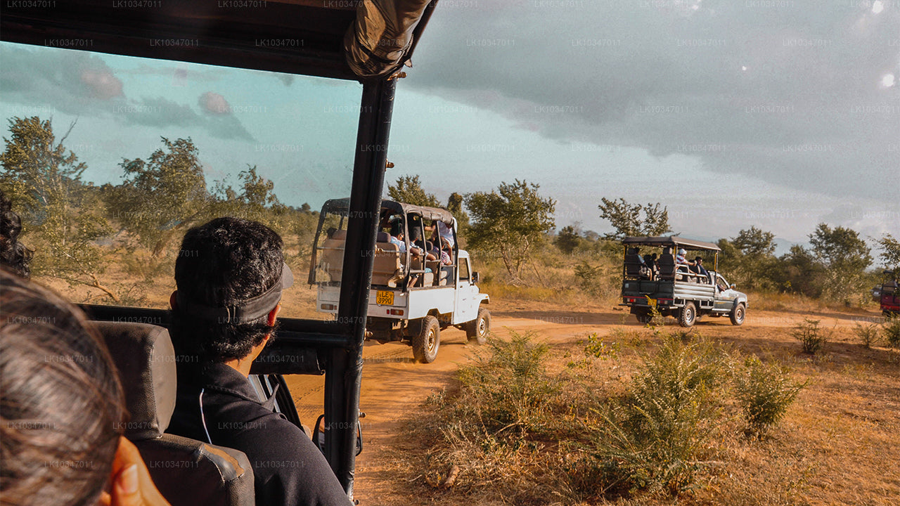 Posvátné město Anuradhapura z Kolomba (3 dny)