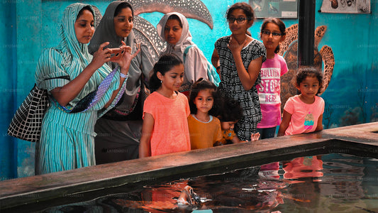 Útulná Srí Lanka (3 dny)