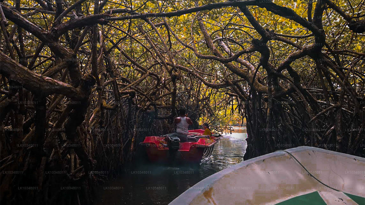 Útulná Srí Lanka (3 dny)