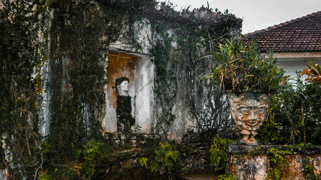 Útulná Srí Lanka (3 dny)