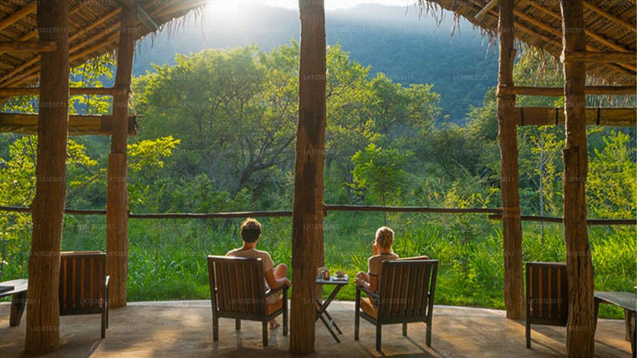 Eko zájezdy po Srí Lance (3 dny)