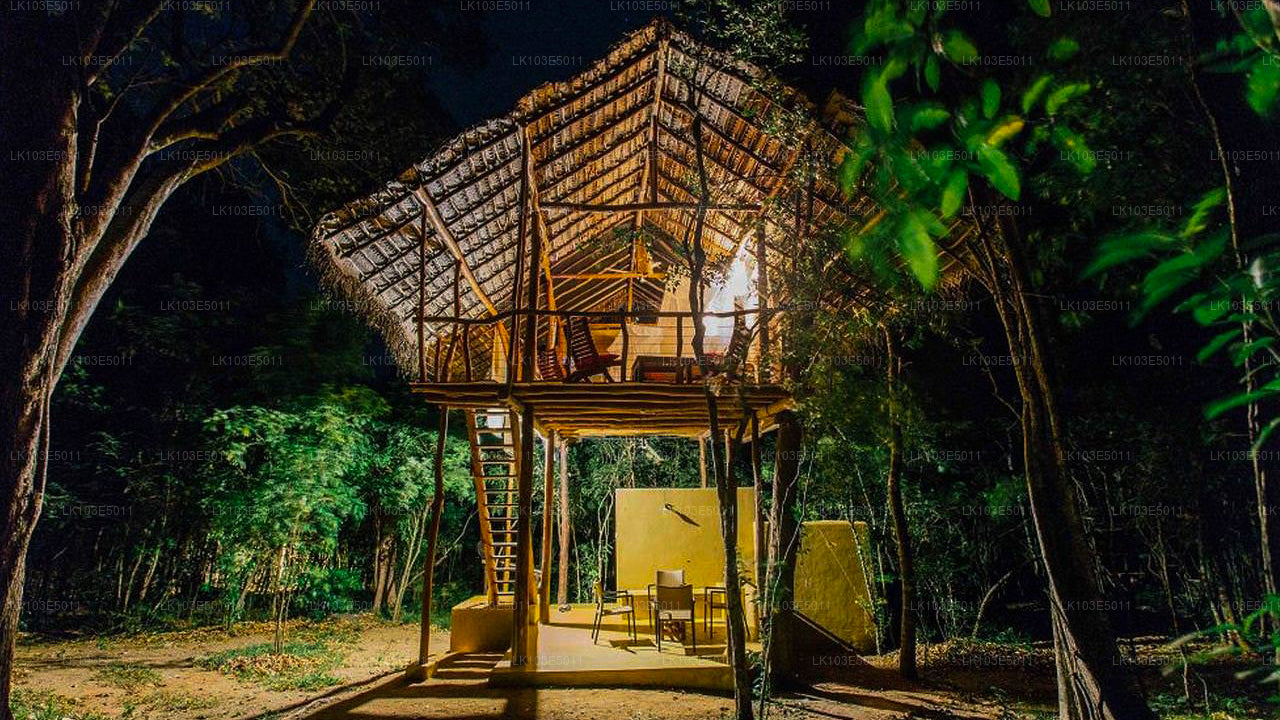 Eko zájezdy po Srí Lance (3 dny)