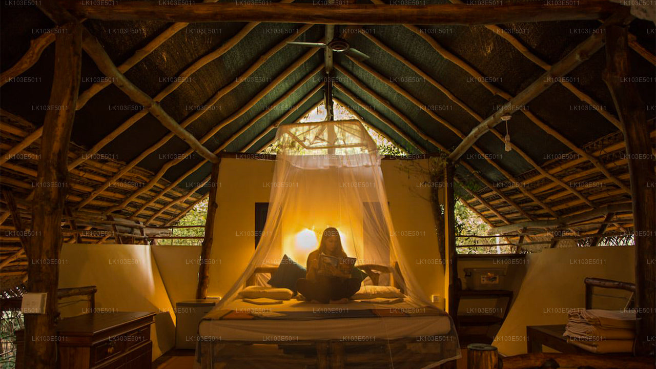 Eko zájezdy po Srí Lance (3 dny)