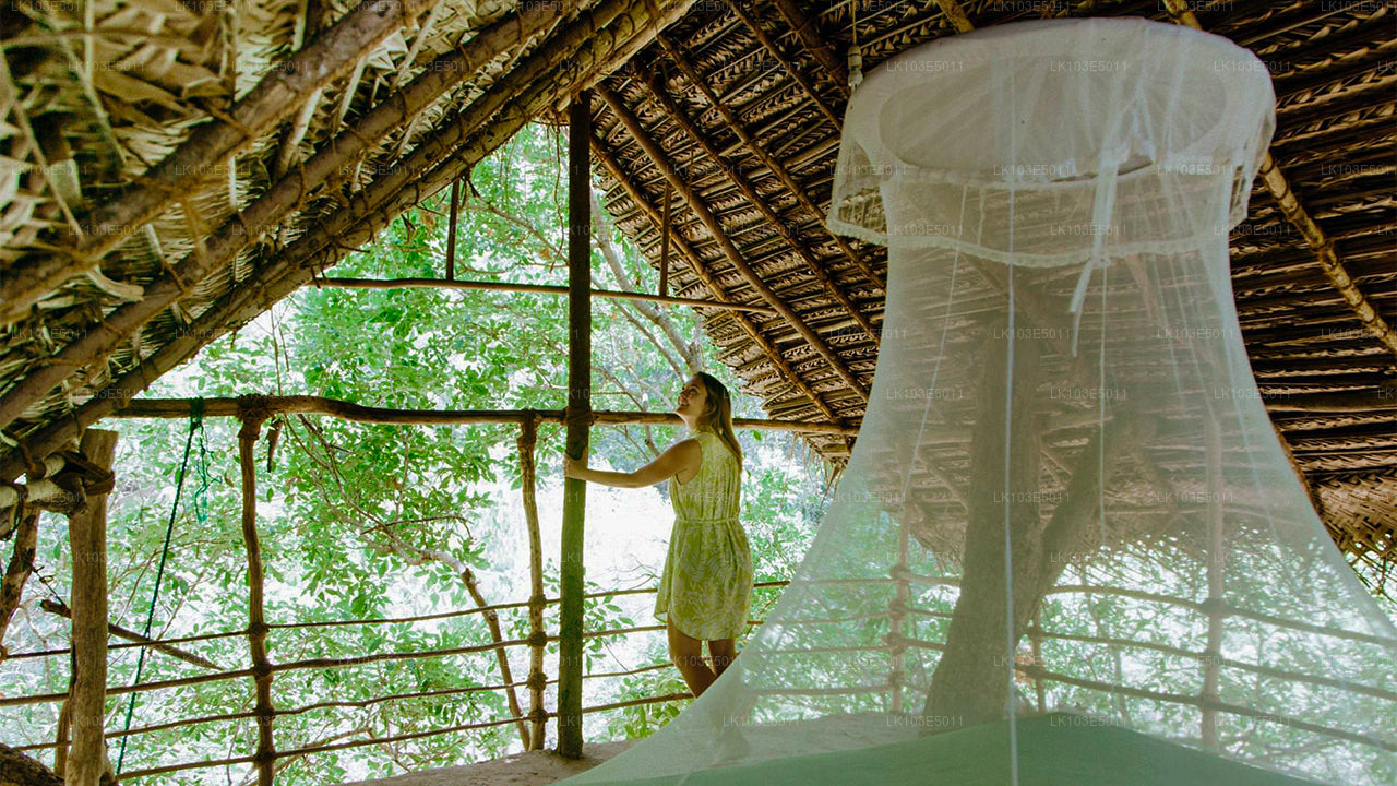 Eko zájezdy po Srí Lance (3 dny)