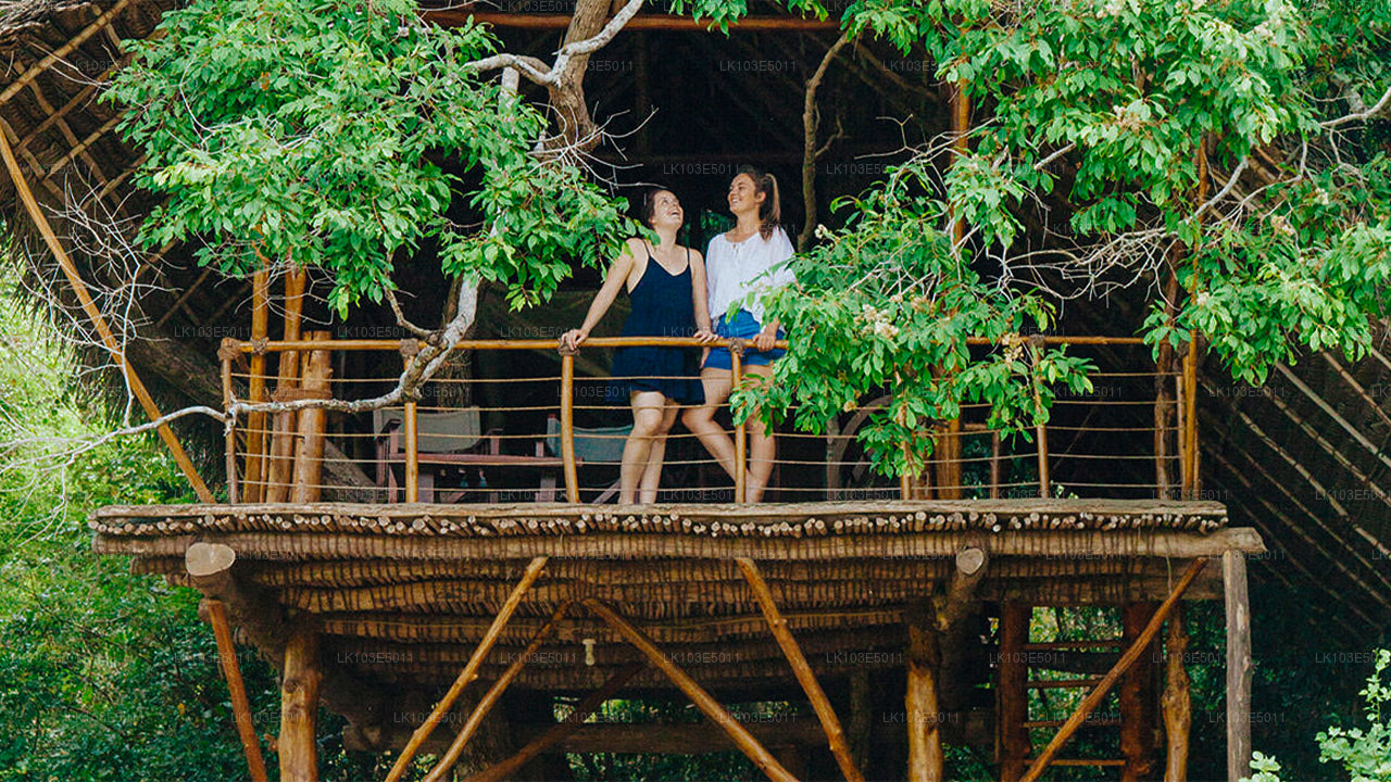 Eko zájezdy po Srí Lance (3 dny)