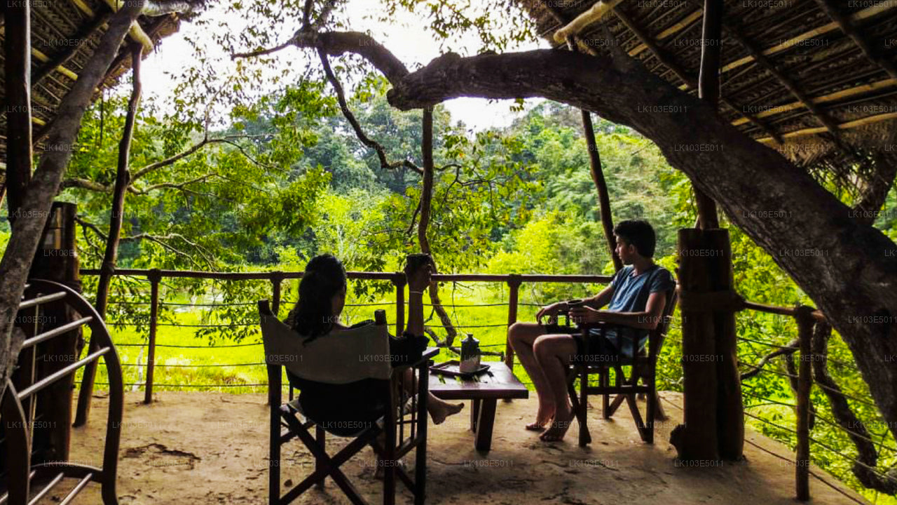 Eko zájezdy po Srí Lance (3 dny)