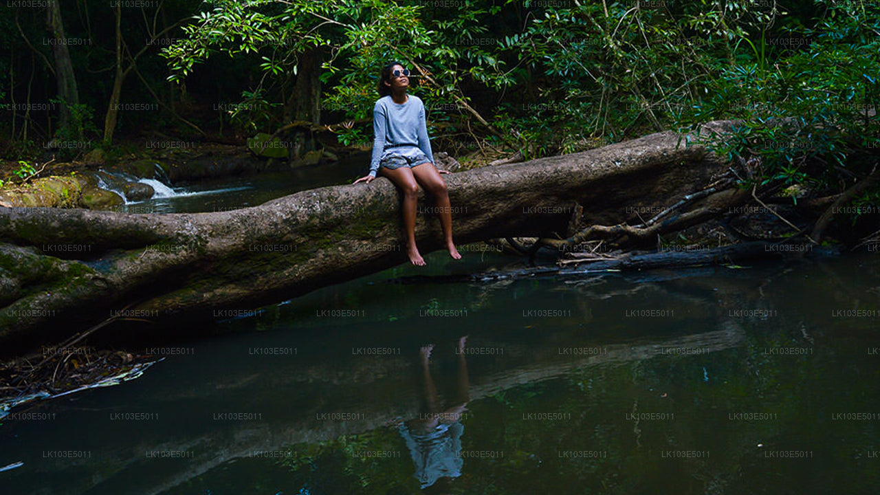 Eko zájezdy po Srí Lance (3 dny)