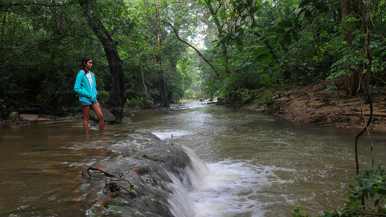 Eko zájezdy po Srí Lance (3 dny)