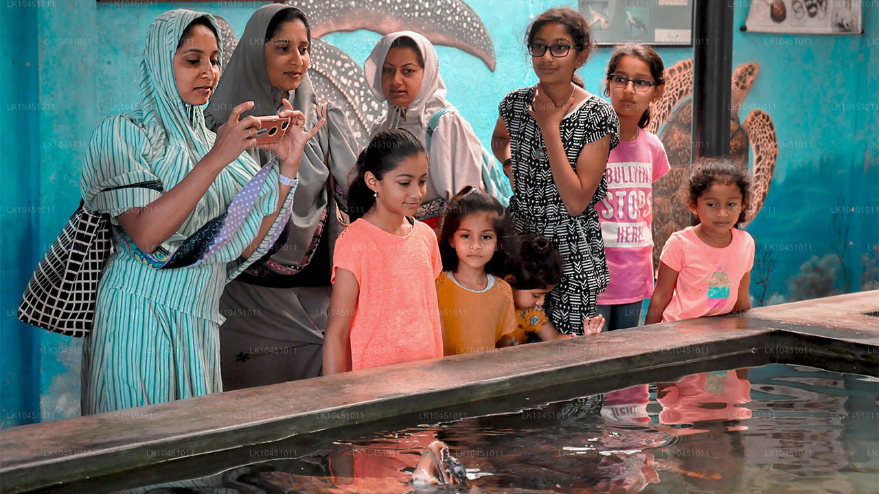 Kolem Lanky z Kolomba (4 dny)