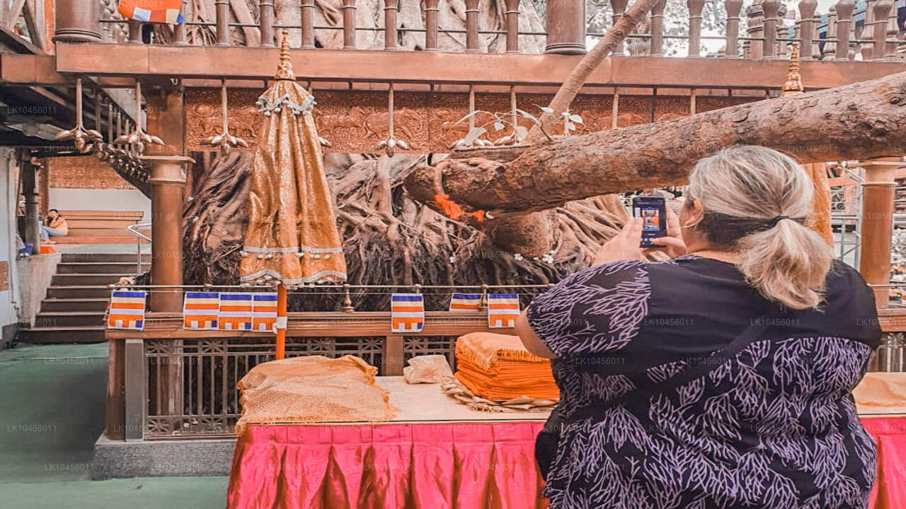 Rychlý městský výlet (4 dny)