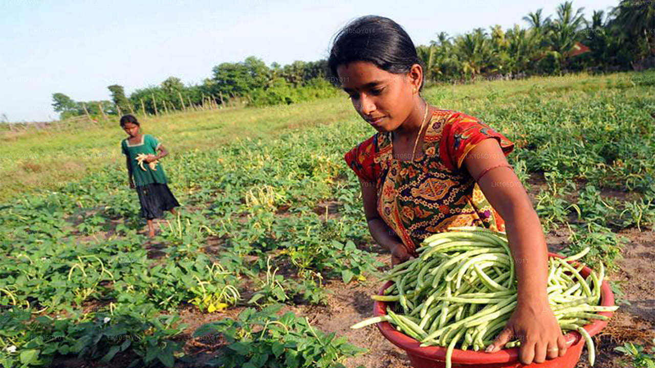 Agro zájezd (4 dny)