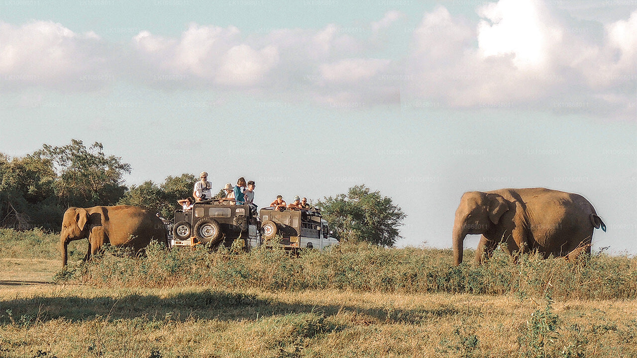 Nádherná Srí Lanka (6 dní)