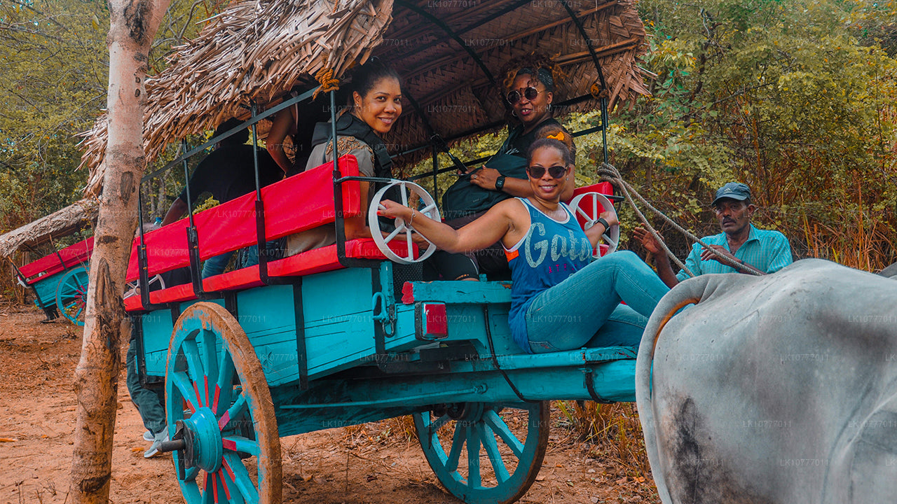 Týden v ráji (7 dní)