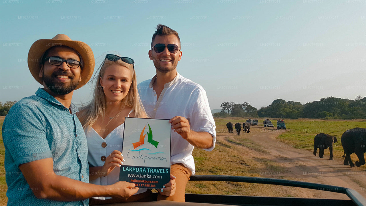 Týden v ráji (7 dní)