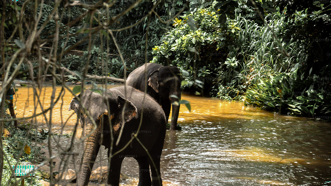 Týden v ráji (7 dní)