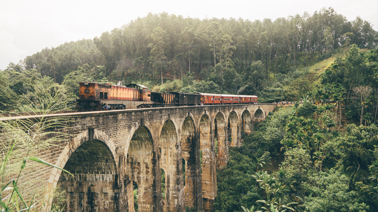 Objevte Serendib vlakem (8 dní)