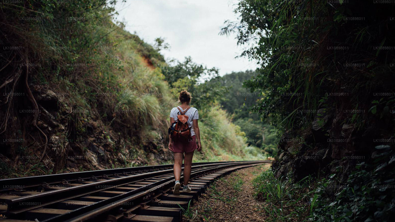 Objevte Serendib vlakem (8 dní)