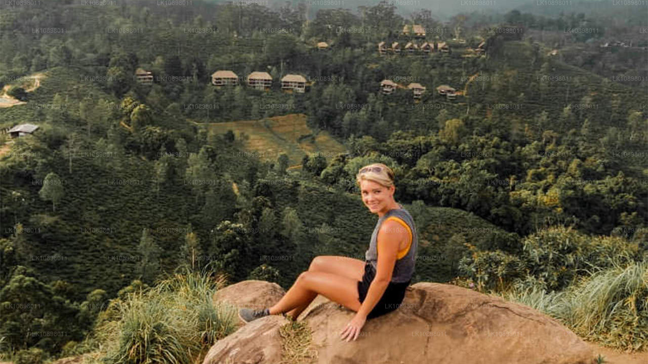 Objevte Serendib vlakem (8 dní)