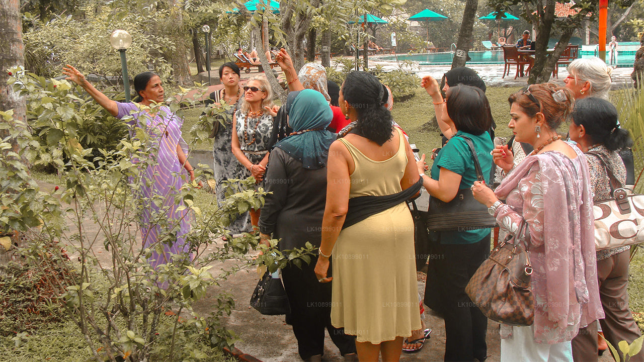 Relief and Relaxation with Siddhalepa (8 Days)