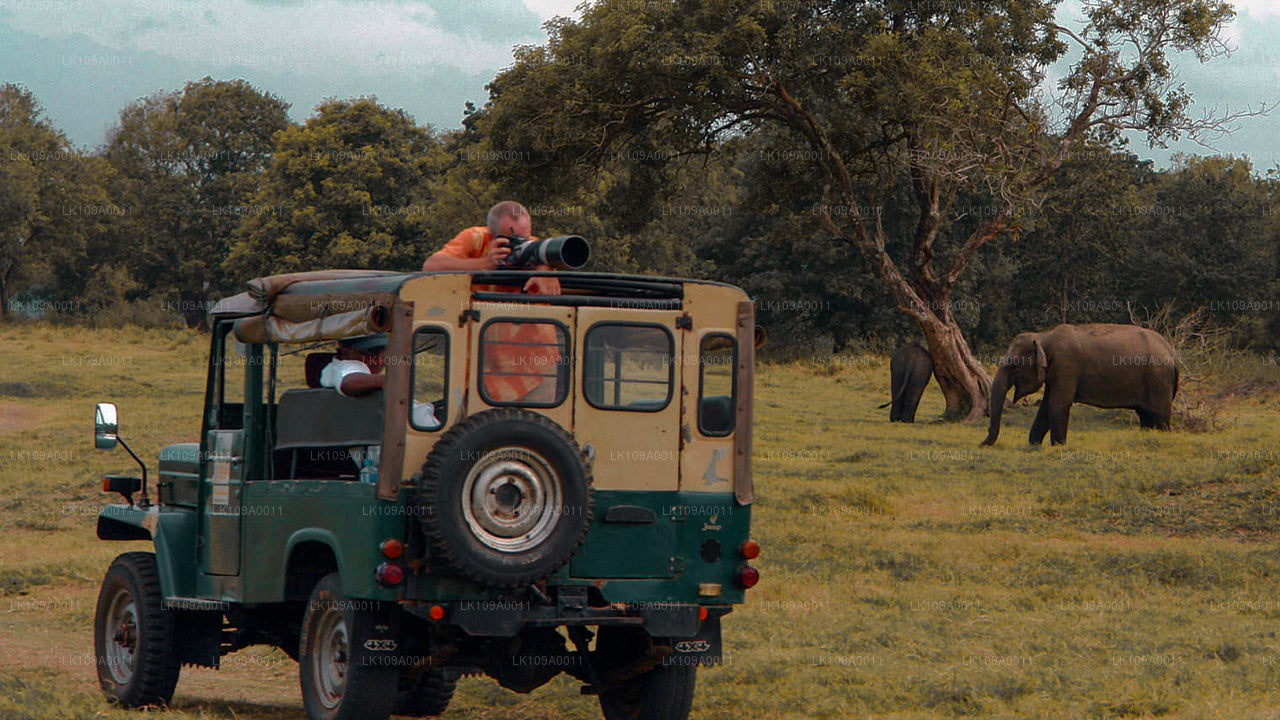 Culture and Heritage (9 Days)