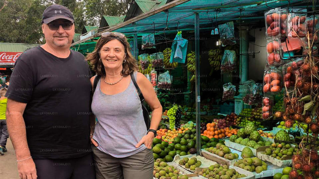 Ceylon Tea Tour (10 Days)