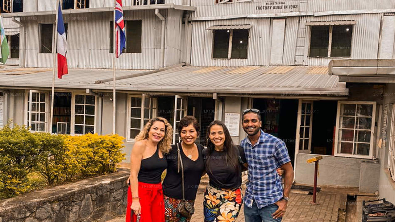 Spiritual Freedom (14 Days)