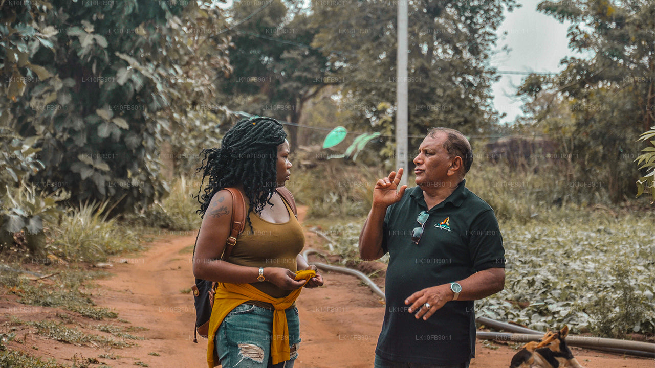 Úleva a relaxace (15 dní)