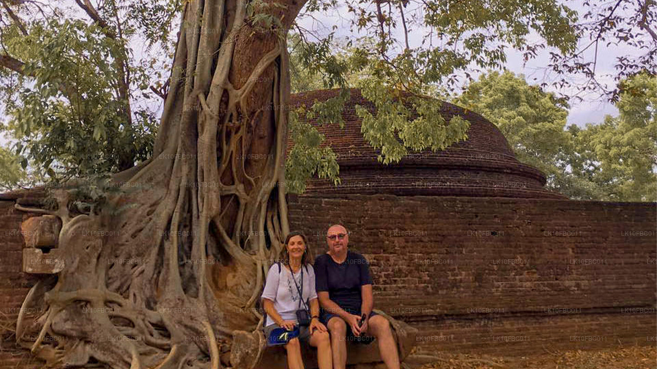 Malý zázrak (15 dní)